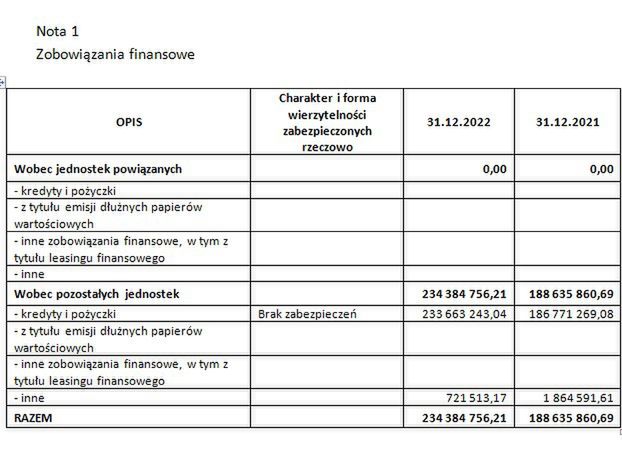 Zadłużenie spółki Ductor na koniec 2022 roku