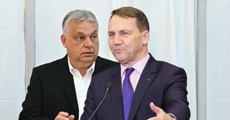 "Wpadł we własne sidła". Sikorski wbił szpilę Orbanowi