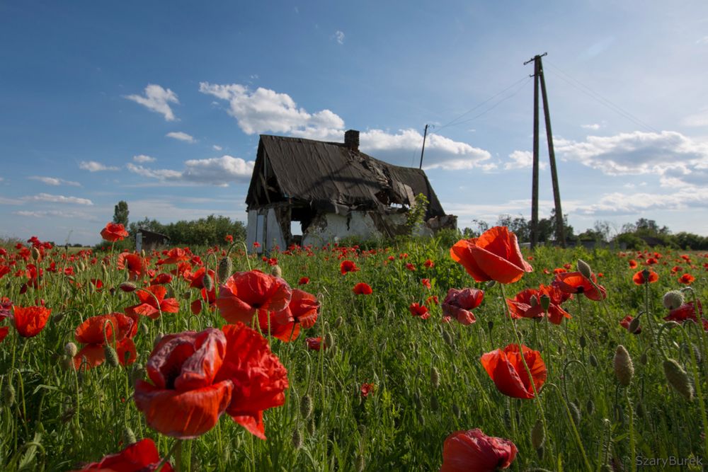 Historia pewnej chatki pod Warszawą. To tajemnicze miejsce przyciąga go od lat 20
