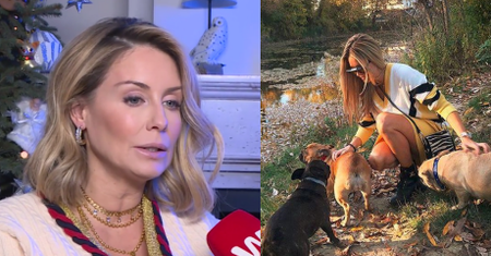 Rozenek apeluje: "Albo kupujmy psy ze sprawdzonych hodowli, albo adoptujmy"