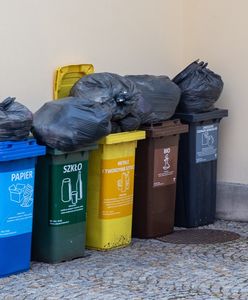 To może być koniec segregacji śmieci. Wymyślili przełomową metodę