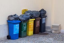 To może być koniec segregacji śmieci. Wymyślili przełomową metodę