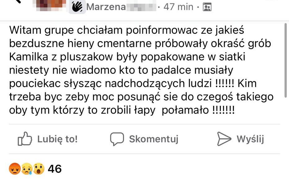 Szokujące informacje nt. grobu Kamilka pojawiły się na jednej z grup na Facebooku. Jak ustaliło o2.pl, nie były prawdziwe