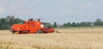 Gmina Złotów: Dachował kombajn. Służby apelują o ostrożność podczas żniw!