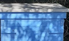 Lubań. Kradzież uli coraz częstsza. Dwie osoby zatrzymane