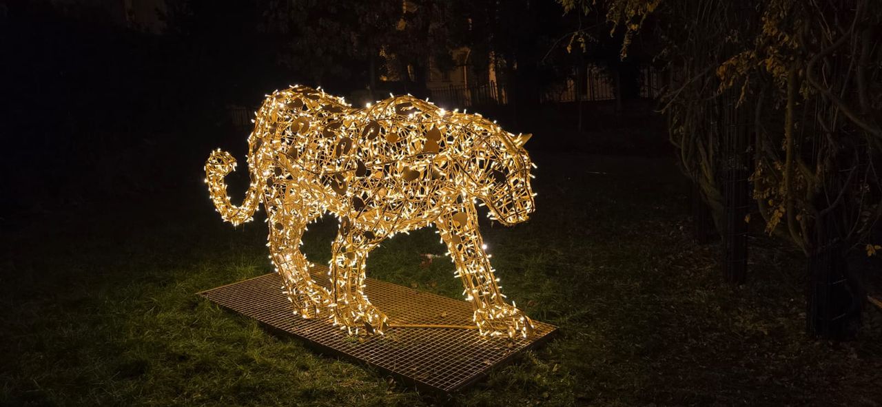 Płockie Ogrody Światła