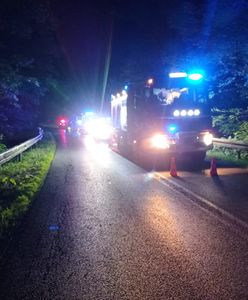 Auto pędziło drogą. Finał był tragiczny