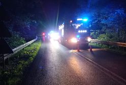 Auto pędziło drogą. Finał był tragiczny