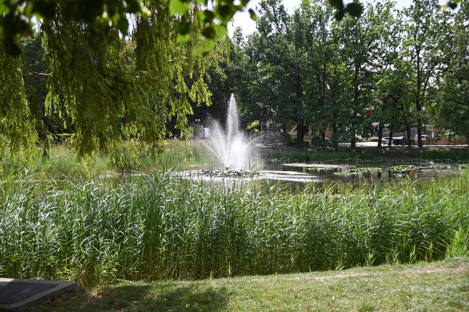 PARK ACHERA