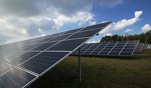 Сонячні панелі в Європі допомагають зекономити. А як з цим у Польщі?