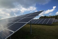Сонячні панелі в Європі допомагають зекономити. А як з цим у Польщі?