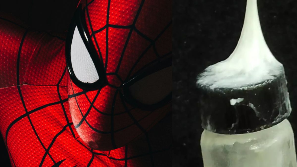 Naukowcy stworzyli "sieć Spider-Mana".