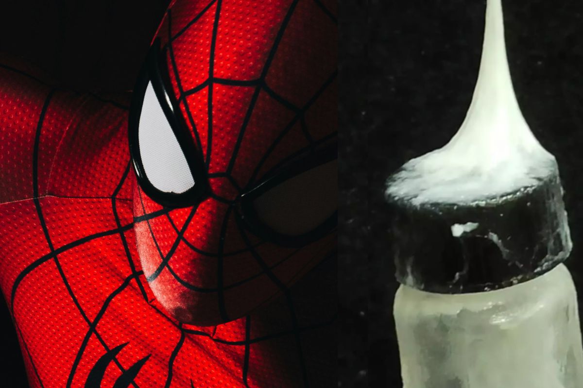 Scientists mimic Spider-Man's web in groundbreaking discovery