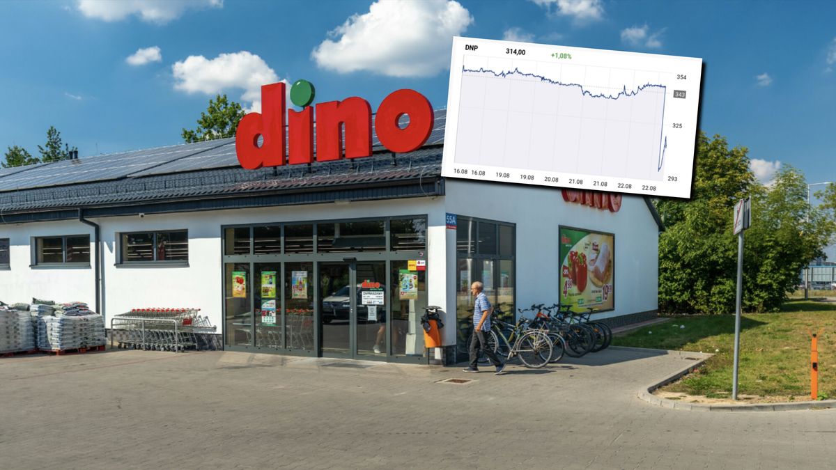 Dino ogłosiło półroczne wyniki finansowe