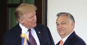 Co zrobi Trump ws. wojny w Ukrainie? Orban już wie