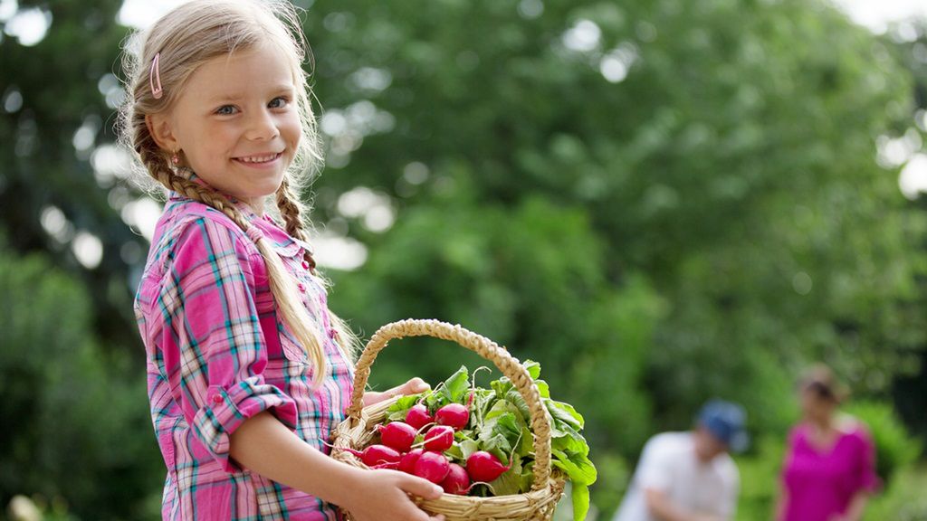 Rzodkiewka jest zdrowym, pełnym witamin i minerałów warzywem
