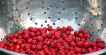 Robię konfiturę z tych malutkich owoców. To prawdziwa skarbnica zdrowia
