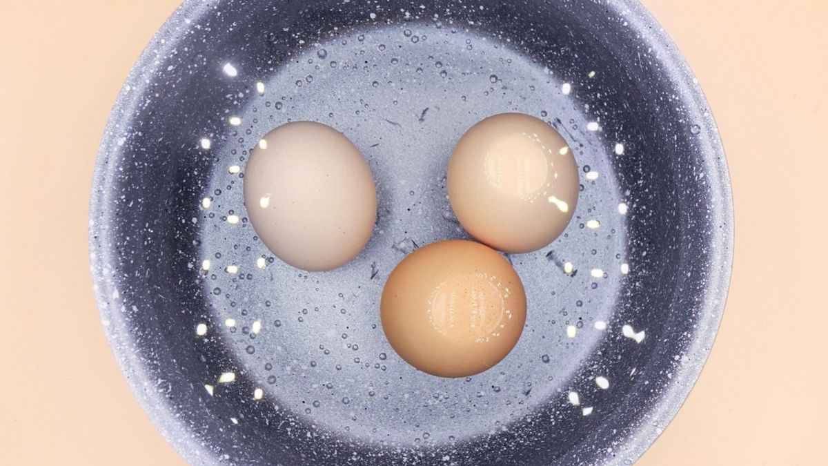 Jakie jajka wybrać?