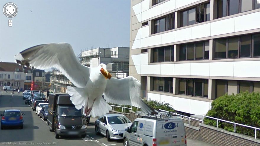 Google Street View. Przegląd wpadek i nietypowych zdjęć 4