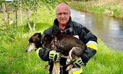 Głuchy i ślepy "Dziadek" dryfował po rzece. Strażacy bohaterami