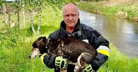 Głuchy i ślepy "Dziadek" dryfował po rzece. Strażacy bohaterami