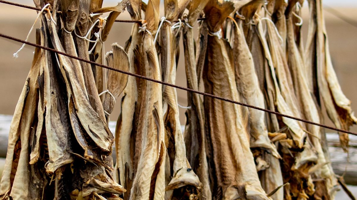 Lutefisk to suszony dorsz