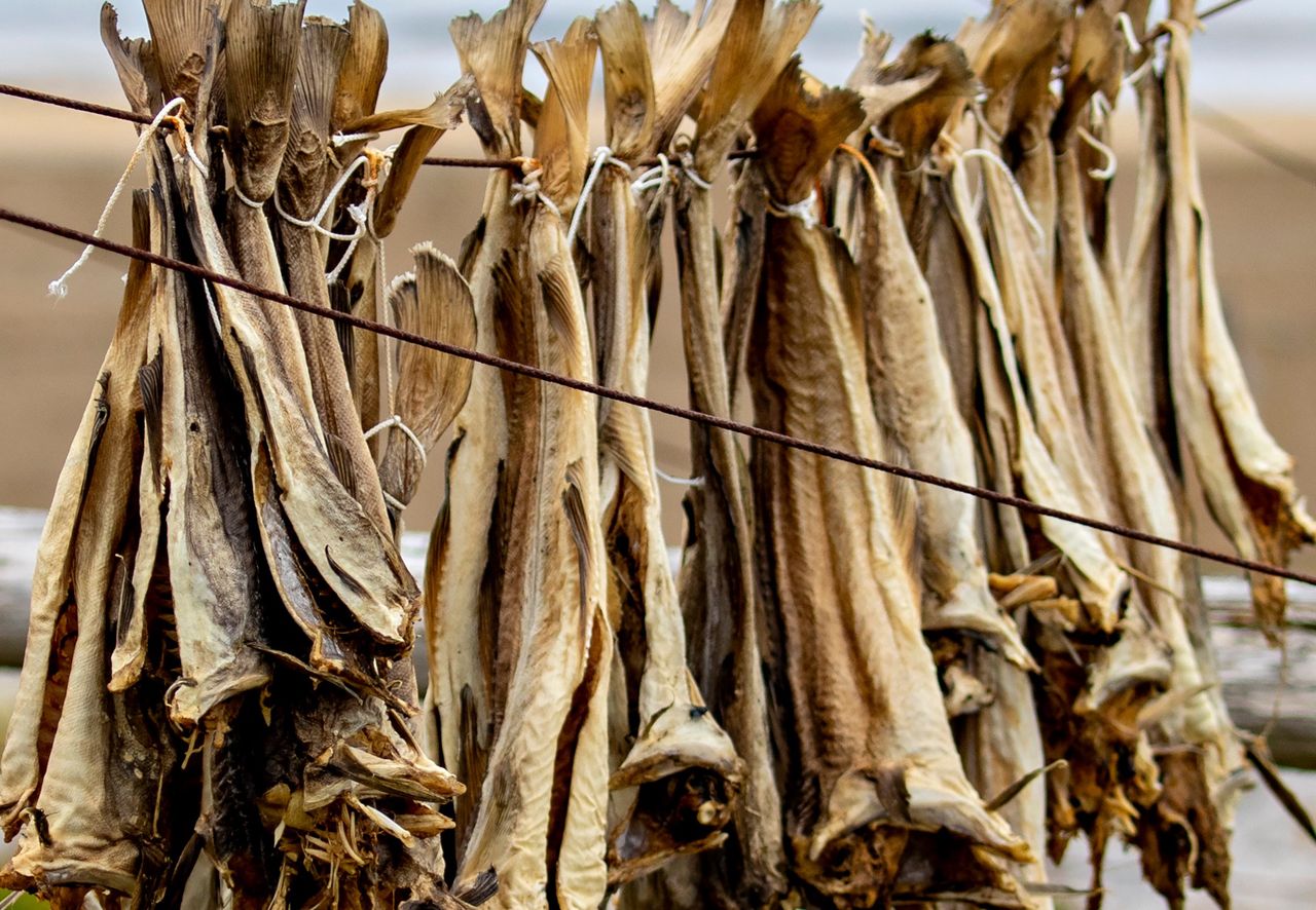 To danie robi furorę w Norwegii na święta. W Polsce większość nie odważyłaby się spróbować