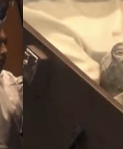 Mumie "nieludzi" pokazane w parlamencie Meksyku. "Nie są częścią naszej ewolucji"