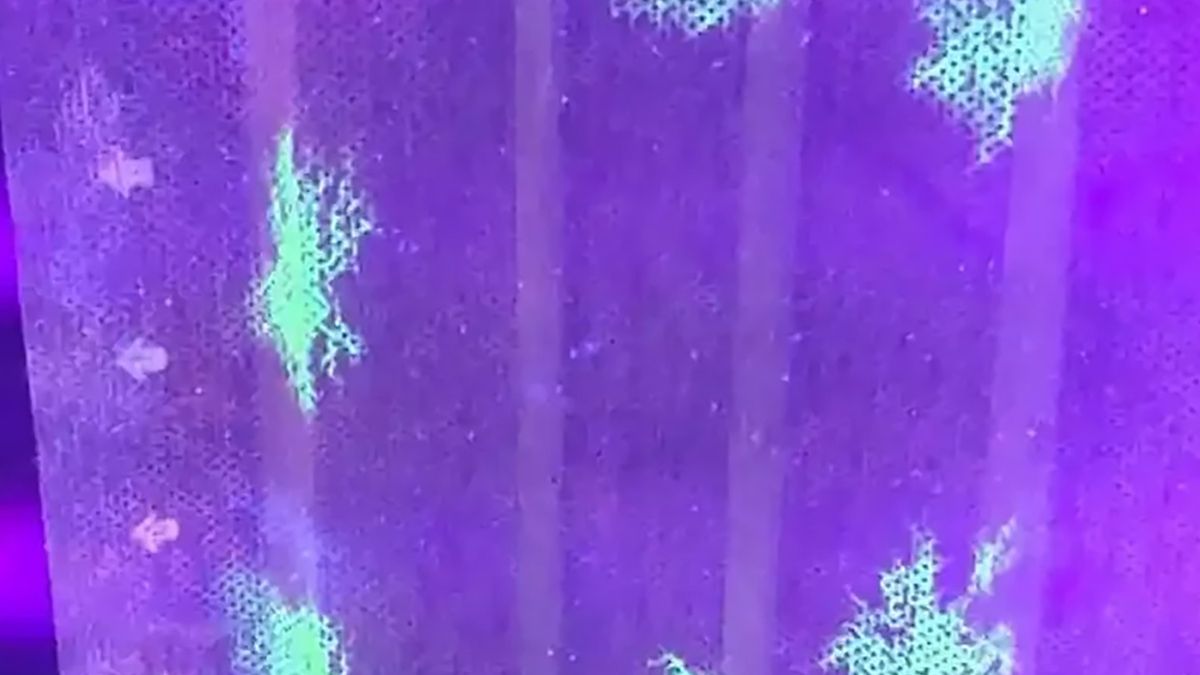 Japońscy naukowcy opracowali fluorescencyjne maseczki wykrywające COVID-19