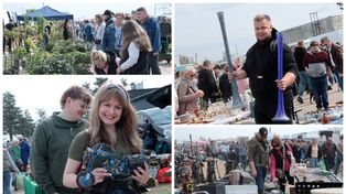 Włocławek: Pchli targ pełen kwiatów i staroci