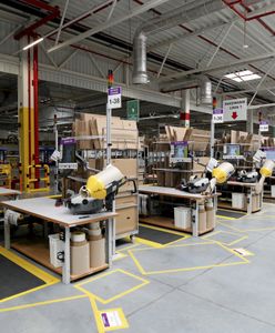 Pracownicy Amazona alarmują. Trwa nierówna walka z owadami