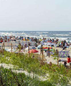 Wyjazdy nie dla wszystkich. Polacy szczerze o swoich wakacjach