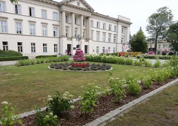 Rabaty, gazony, kwietne łąki w Radomiu. Piękne efekty pracy ogrodników