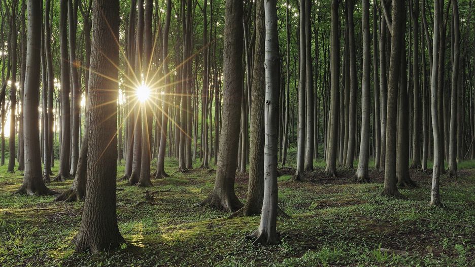 Tajemnicze miejsce na Roztoczu