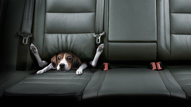 Wybitne cyfrowe manipulacje Christopha Gilberta 1