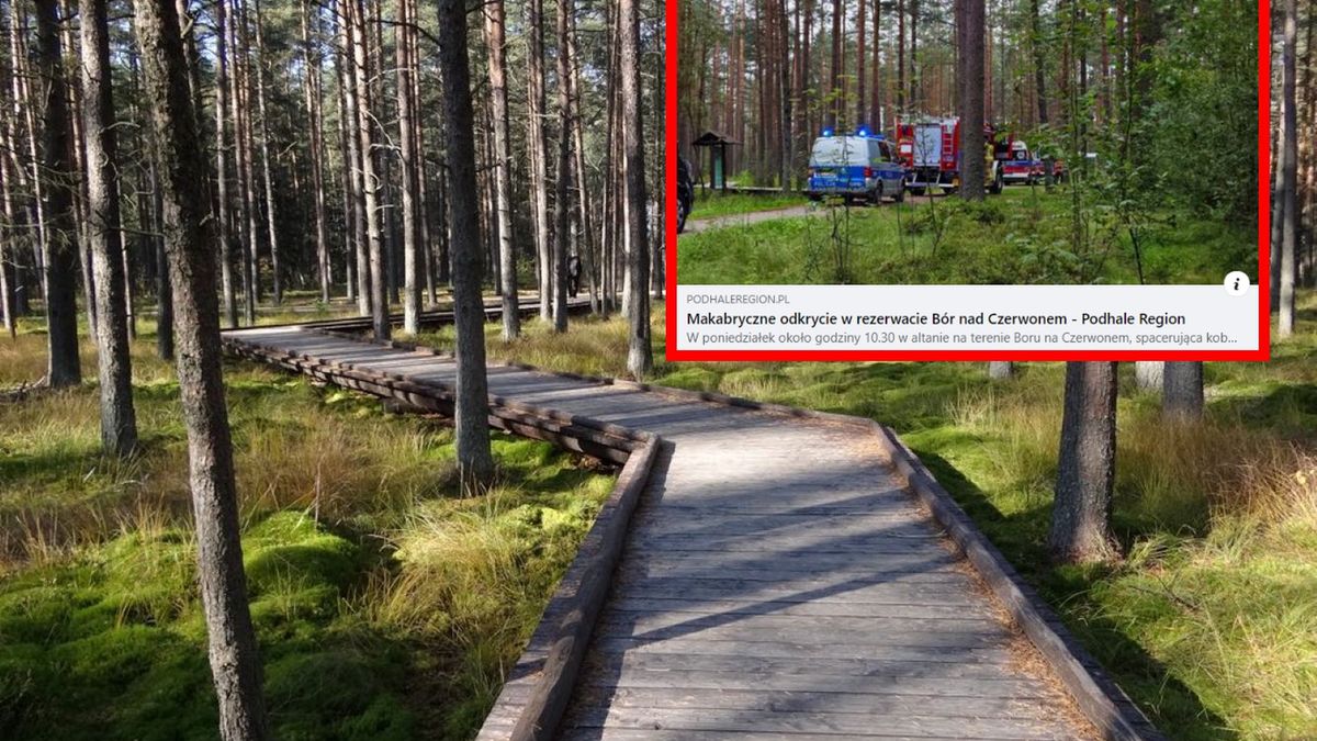 W rezerwacie odkryto zwłoki 