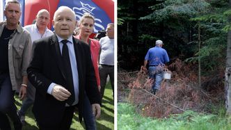 Jarosław Kaczyński straszy grzybiarzy. Ekspert: problem wyssany z palca