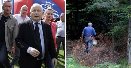 Jarosław Kaczyński straszy grzybiarzy. Ekspert: problem wyssany z palca