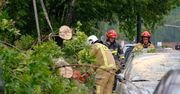 Kilkadziesiąt interwencji. Potężna burza nad Warszawą, powalone drzewa
