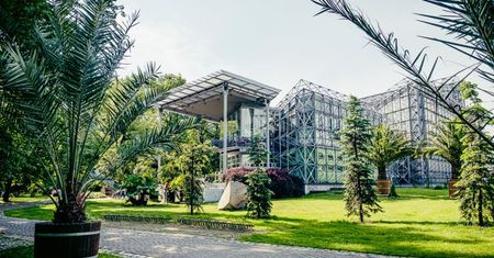 Gliwice. Najpierw kaktusy, potem remont