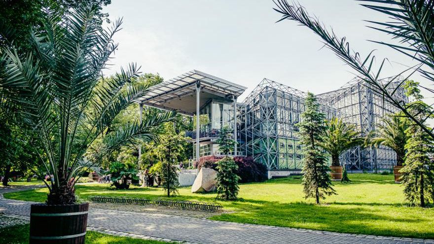 Gliwice. Palmiarnia przez całe wakacje będzie zamknięta.