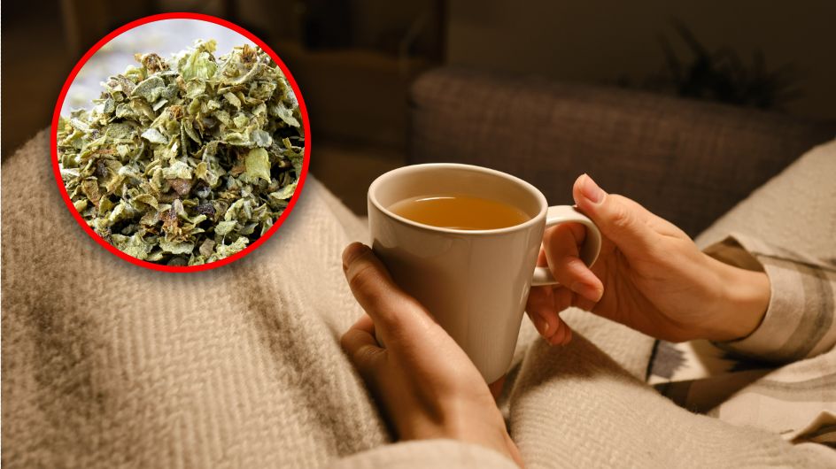 Jak działa napar z majeranku?