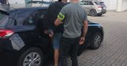 Wisznice: Uprawiał konopie o wysokości blisko 2,5 metra