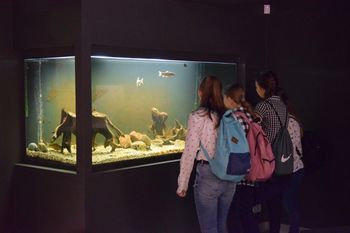 Słupsk: Słupia bez tajemnic. Park Krajobrazowy zaprasza na wystawę