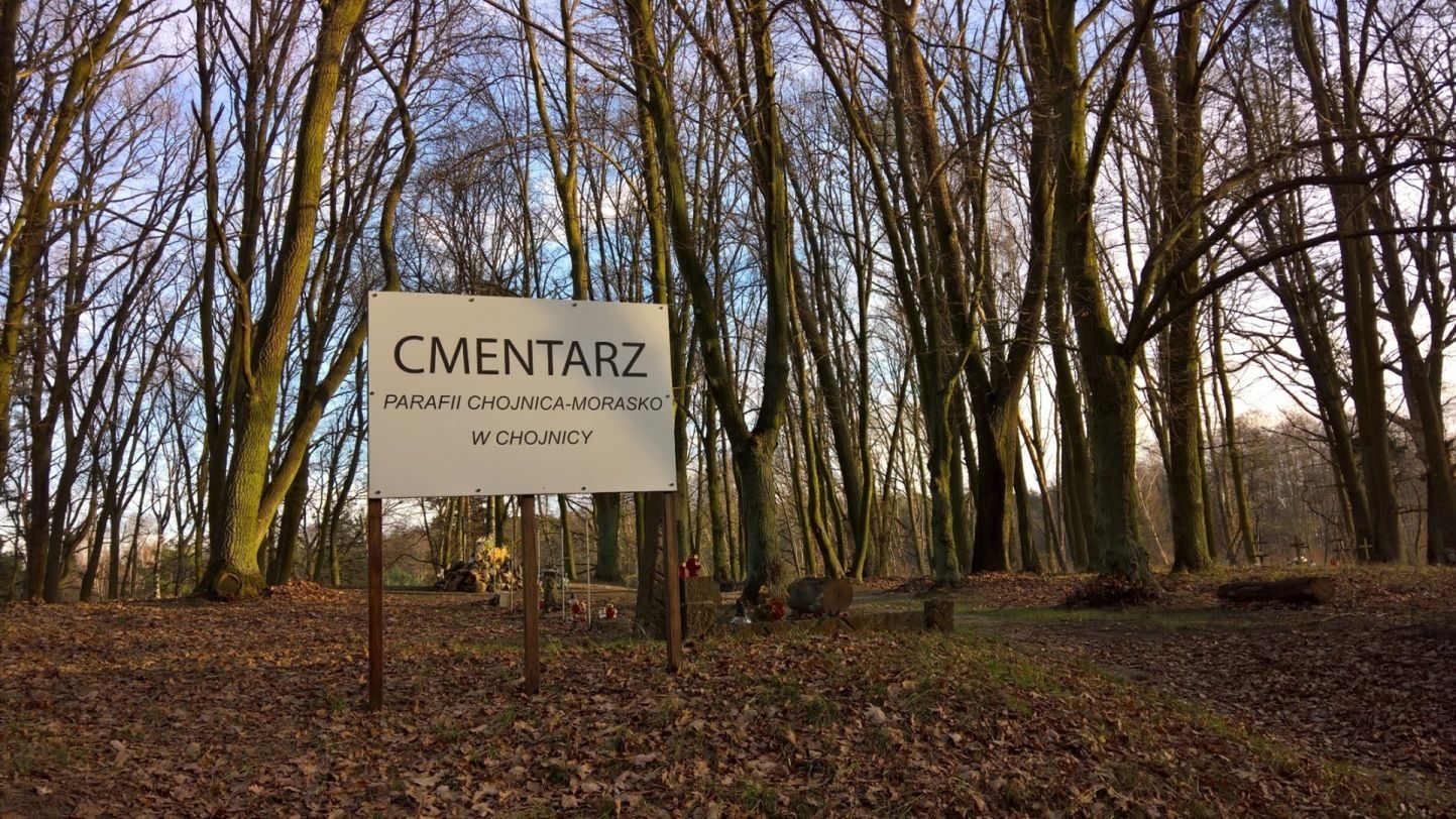Microsoft Lumia 950 - test i recenzja 31