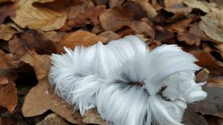 Myślała, że to śmieci. To, co odkryła, ją zdziwiło