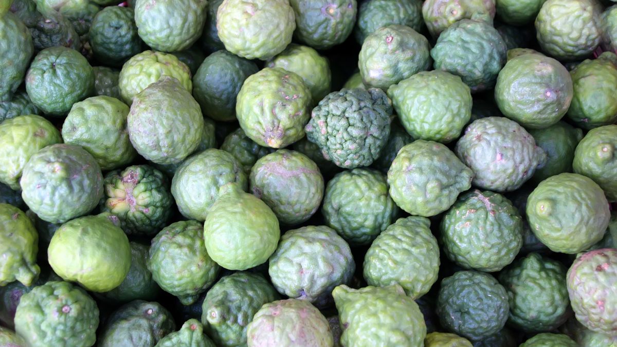 Green Bergamot Fruits Citrus bergamia
Green Bergamot Fruits Citrus bergamia sold in the Phnom Penh market, Cambodia
Igor Sokolov