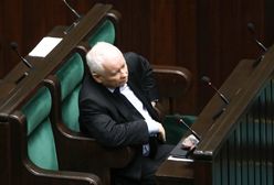 Jarosław Kaczyński walczy z nepotyzmem. Polityk PO: W PiS-ie też są ludzie przyzwoici