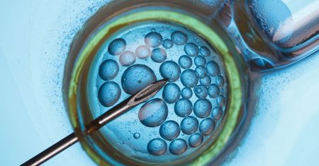 Leki in vitro są nadal refundowane
