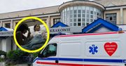 Szpital z Krakowie zamyka oddział. Rodzice dowiedzieli się przypadkowo